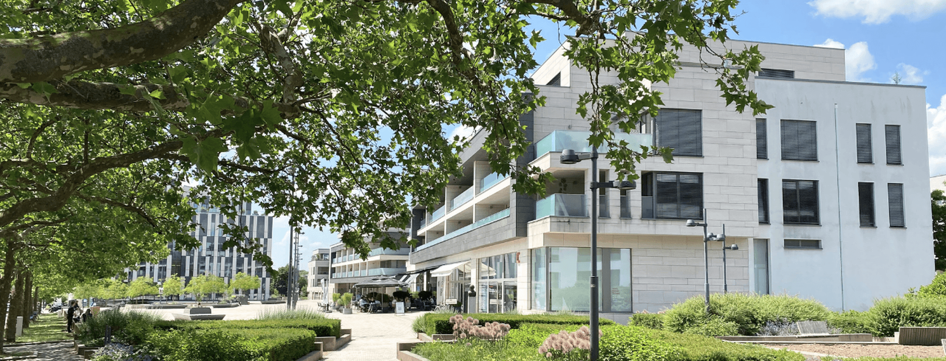 Une vue ensoleillée d'un complexe d'appartements moderne avec une allée en pierre, des arbres verts et des parterres de fleurs.