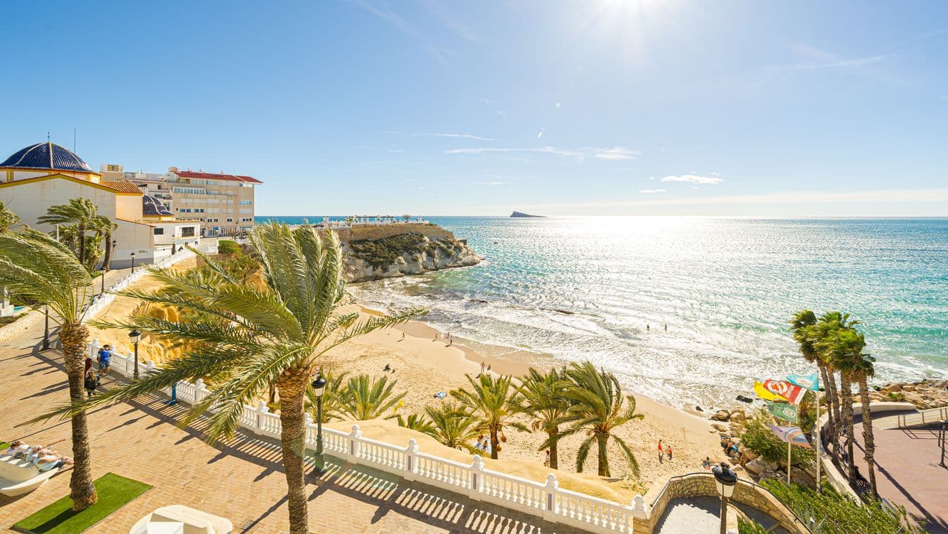 Cala del Mal Pas in the old town of Benidorm, with palm trees.
