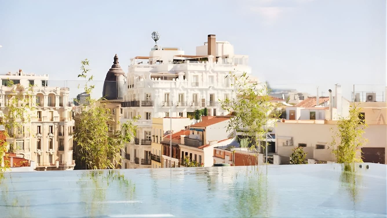 Rooftop infinity pool overlooking a cityscape with historic buildings and a clear sky. Greenery borders the pool edge.