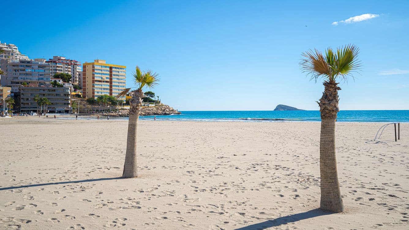 The beach of Cala de Finestrat with its palm trees and buildings.