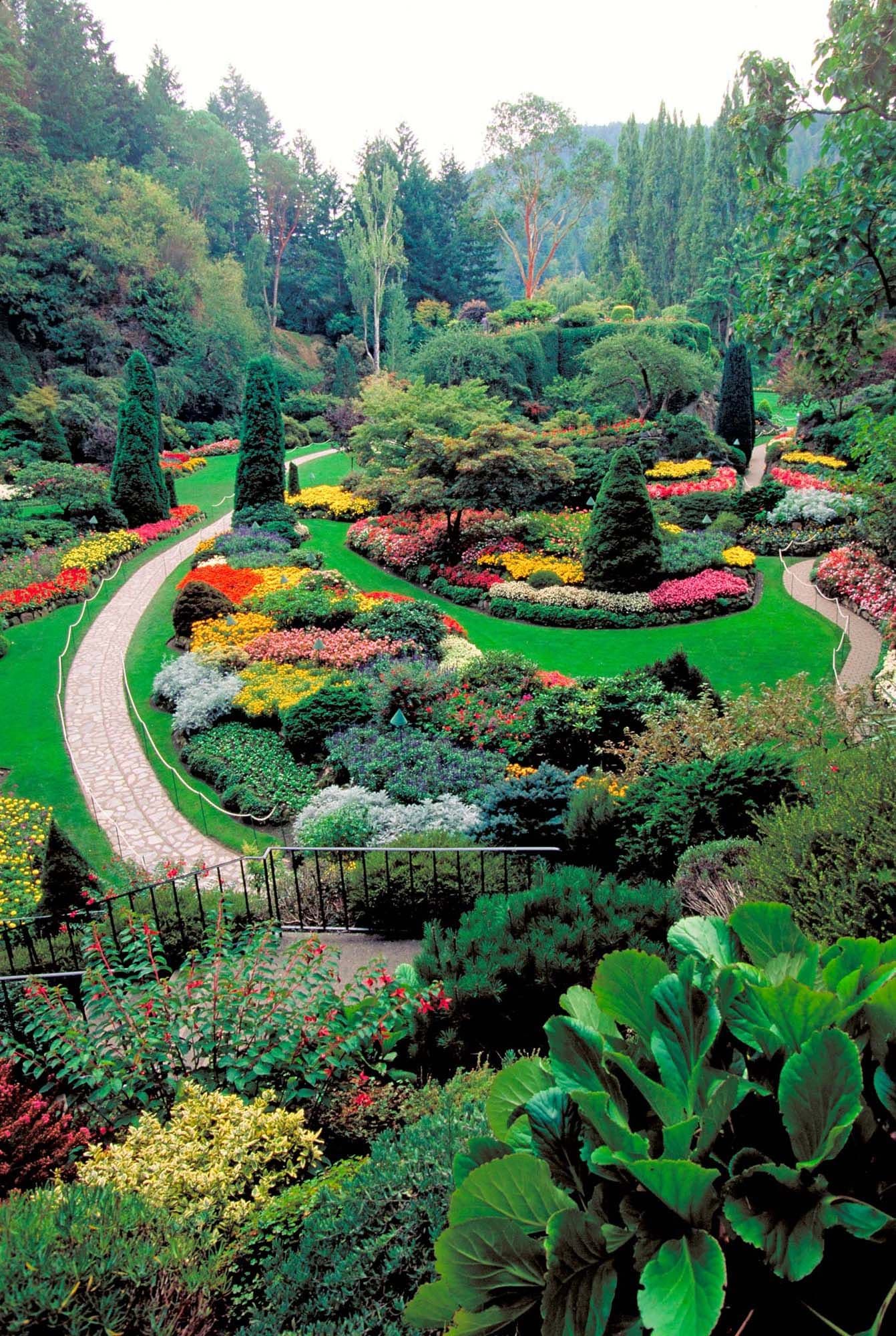 A beautifully landscaped garden with colorful flowerbeds, manicured paths and decorative fountains in the Butchart Gardens in British Columbia, Canada.