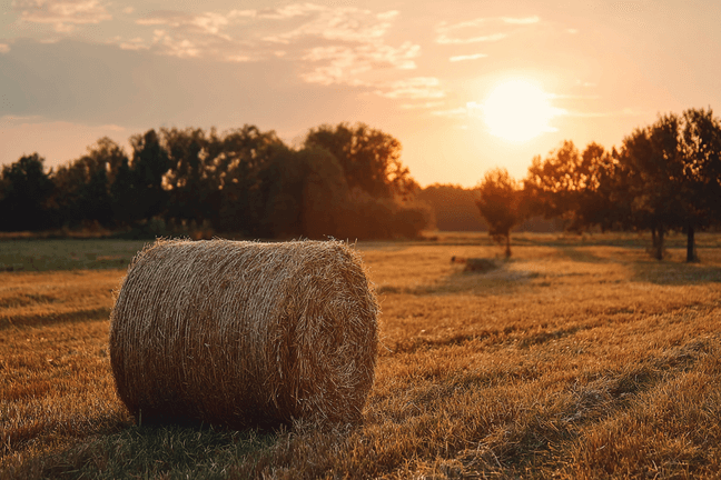 A hay bale sits in a golden field at sunset, with trees lining the horizon under a partly cloudy sky.