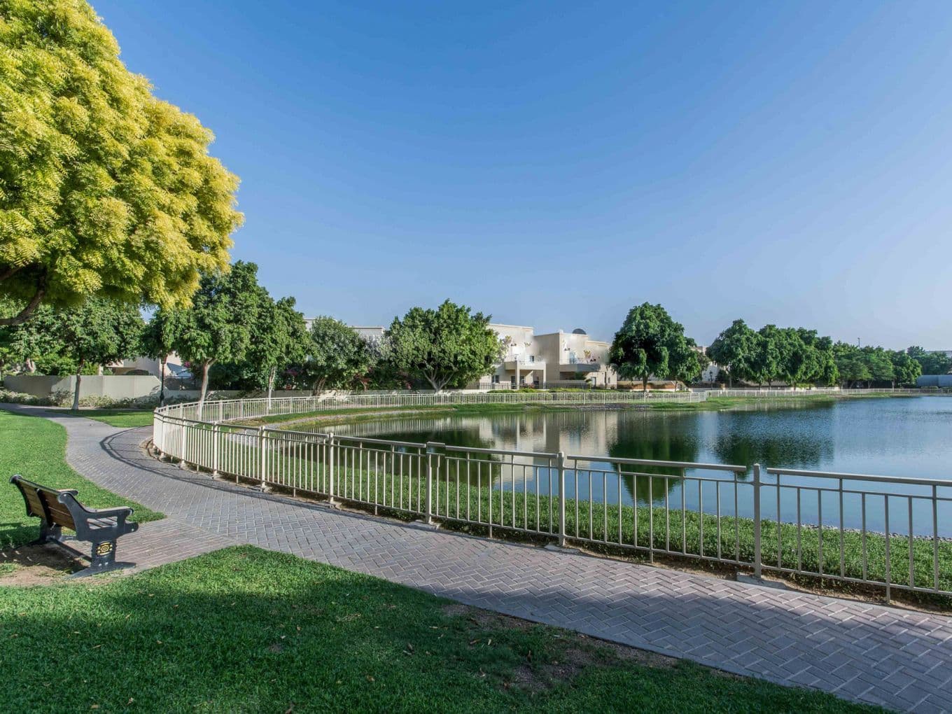 Ein ruhiger Park mit gepflastertem Weg, einer Bank und einem Teich, umgeben von üppigen Bäumen unter blauem Himmel.