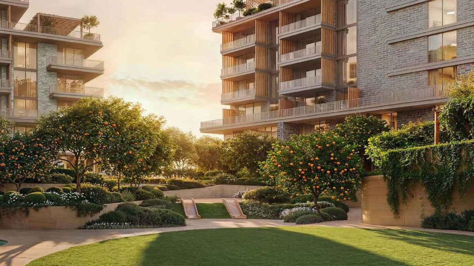 Sunlit courtyard with manicured lawn, orange trees, terraced planters and modern apartment buildings with balconies.