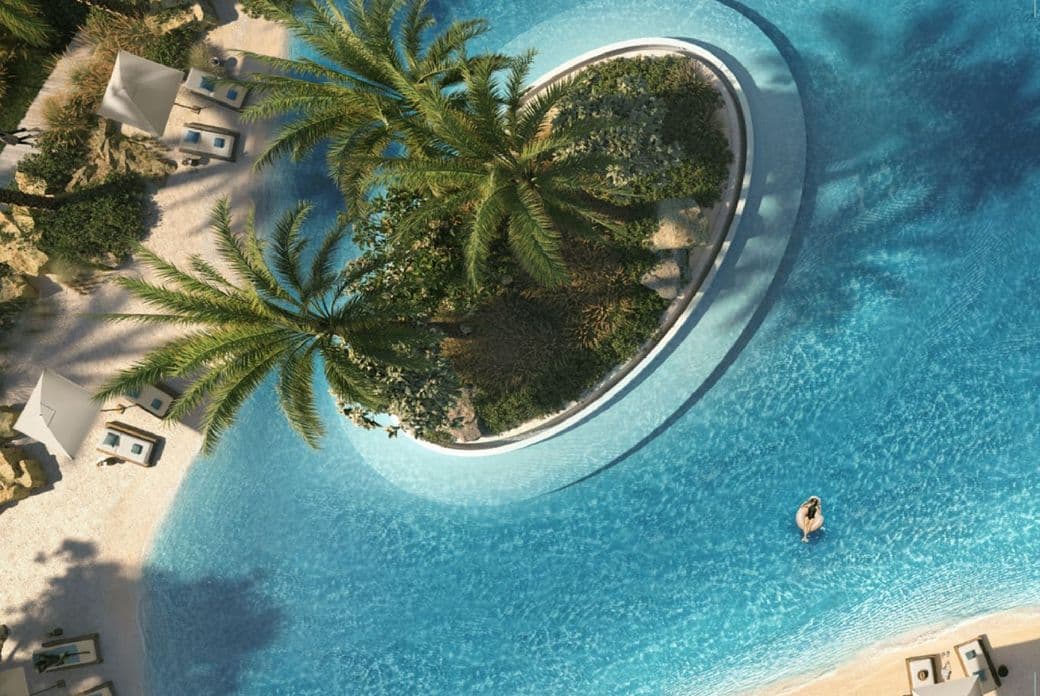 Palmiera Oasis - German