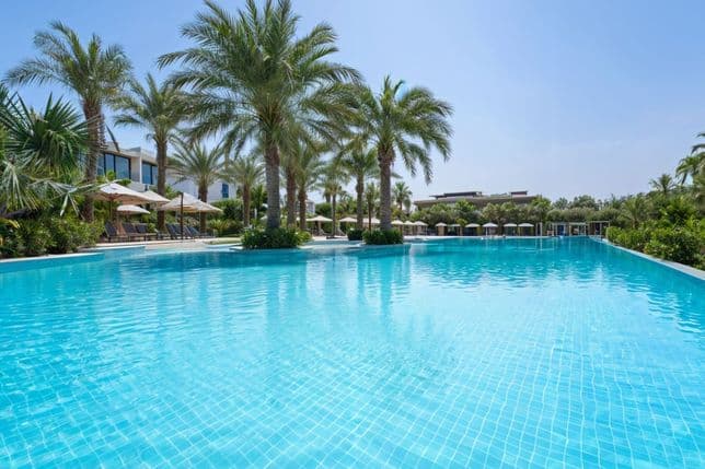 A large, tranquil swimming pool surrounded by palm trees and sun loungers under umbrellas, set against a clear blue sky.