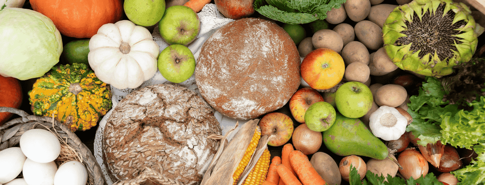An assortment of fresh produce including pumpkins, apples, breads, eggs, carrots, corn, potatoes, cabbage, and leafy greens in a rustic setting.