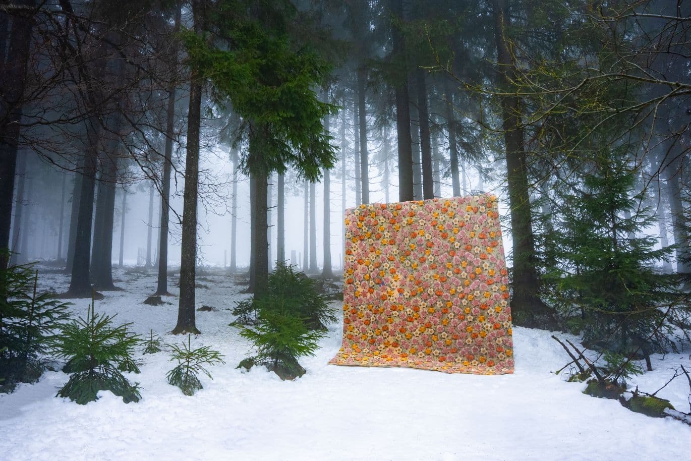Eine Steppdecke mit Blumenmuster hängt inmitten von schneebedecktem Boden und nebligen Kiefern in einer Waldlandschaft.