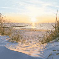 Goldenes Licht taucht die Sanddünen ein, während die Sonne untergeht, wirft lange Schatten und färbt den Himmel in warmen Orange- und Rosatönen. Die friedliche Szenerie fängt die stille Schönheit der Natur am Ende des Tages ein.