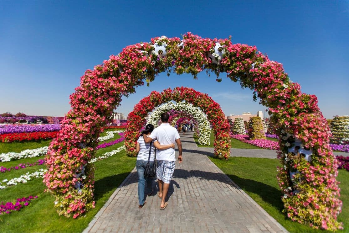 A couple walks hand in hand through a pathway of colorful floral arches in a beautifully landscaped garden under a clear blue sky.
