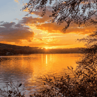 Sunset over a tranquil lake with golden reflections, surrounded by silhouetted trees and a partly cloudy sky.