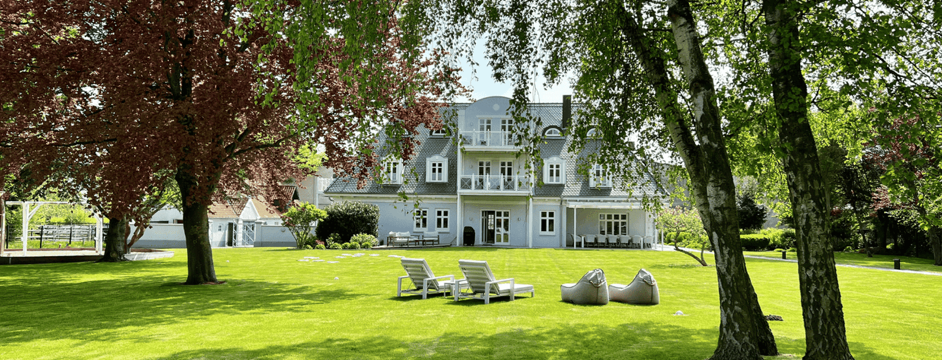 Large green meadow with 4 large birch trees and 4 loungers, Lütjenhof in the background