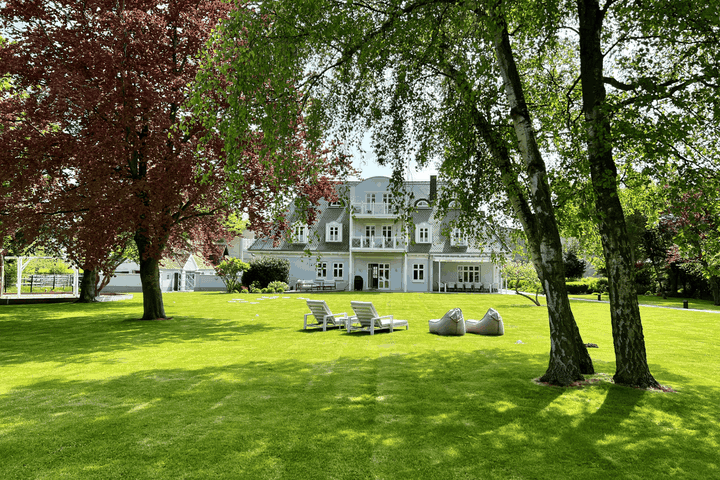 Große grüne Wiese mit 4 großen Birken und 4 Liegen, Lütjenhof im Hintergrund