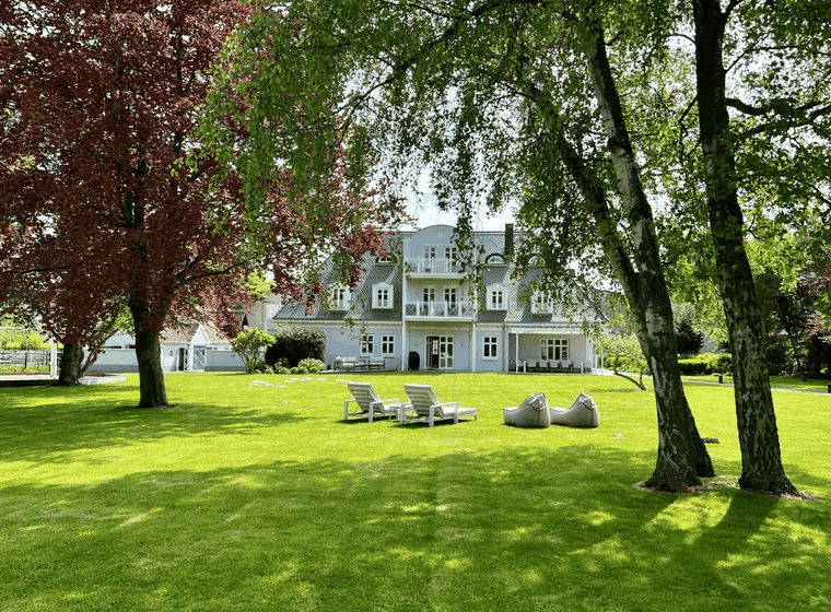 Large green meadow with 4 large birch trees and 4 loungers, Lütjenhof in the background