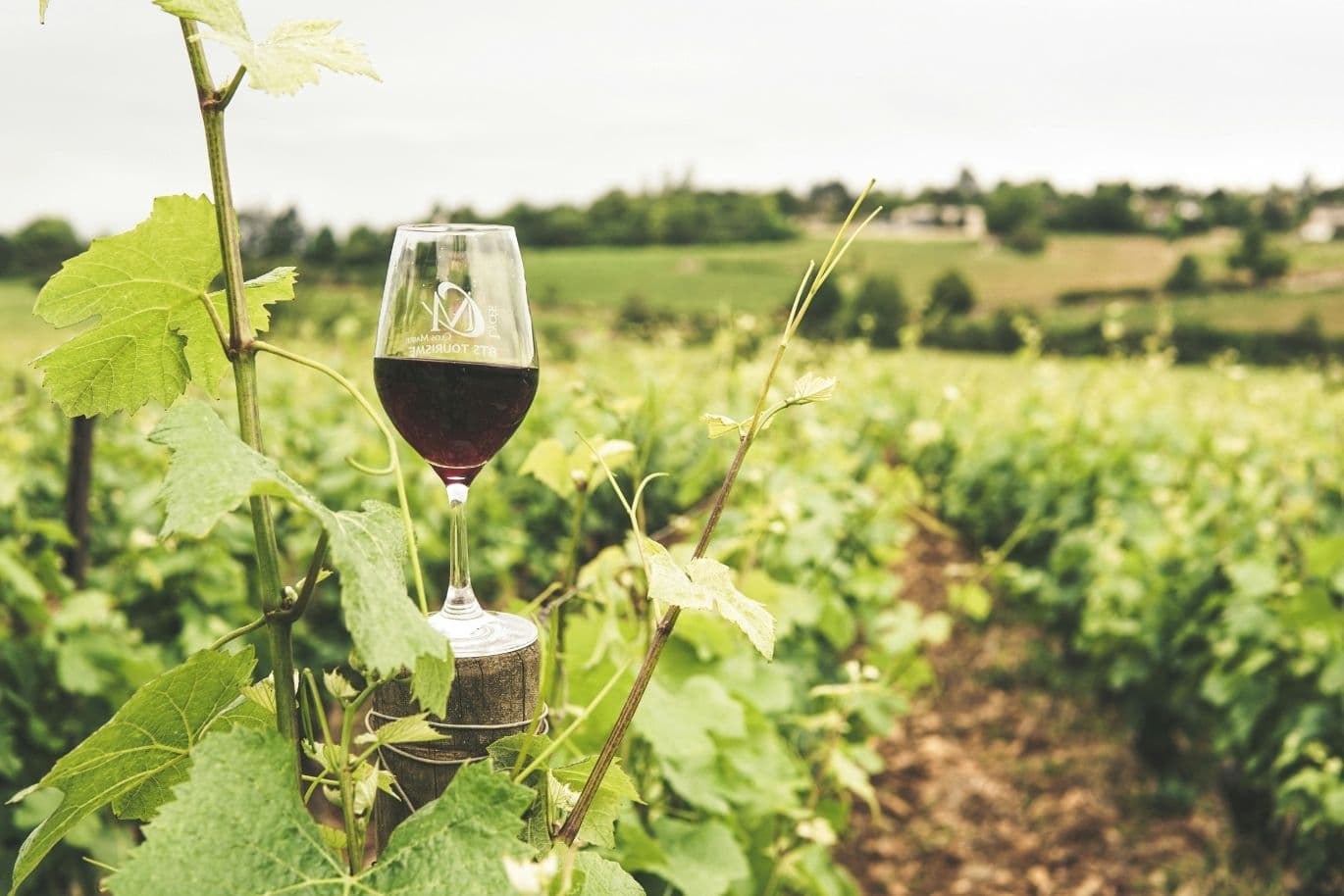 A glass of red wine sits on a post among lush green vineyard rows, with a distant view of rolling hills and a cloudy sky.