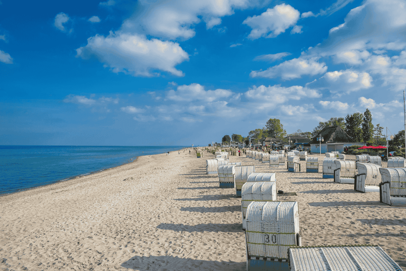 Colorful beach chairs line the sandy shore of Dahme, facing the calm Baltic Sea. The sun shines warmly, and the scene invites relaxation and seaside comfort.
