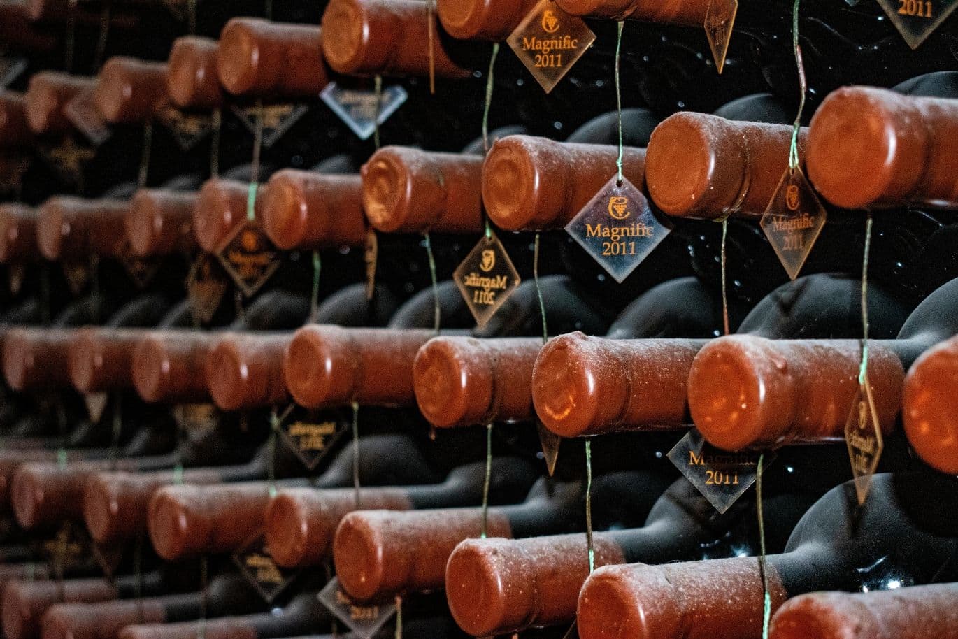 Rows of wine bottles aging in a cellar, each labeled with "Magnum 2011," showcasing a vintage collection.