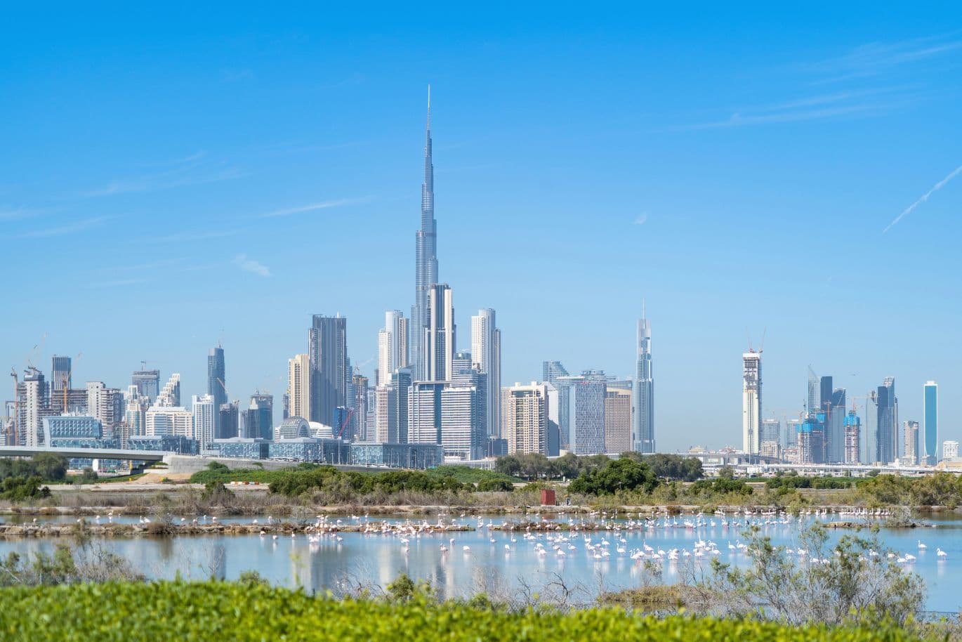 Dubai skyline with Burj Khalifa, clear blue sky, and a foreground of water and greenery, featuring pink flamingos.