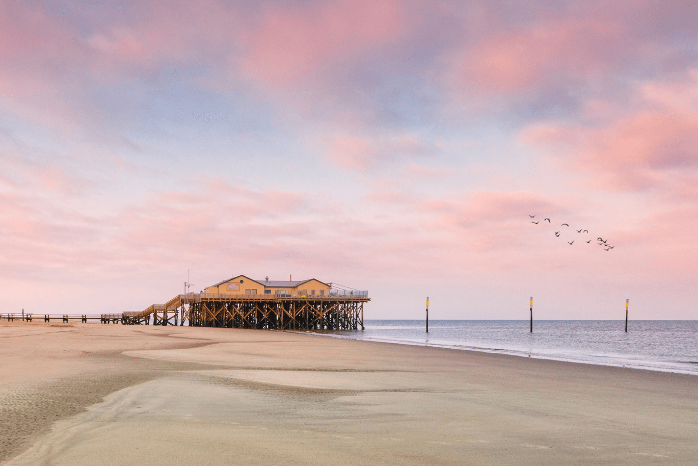 Sunset at the wide beach of St. Peter Ording with rose colored clouds and one of the famous wooden huts