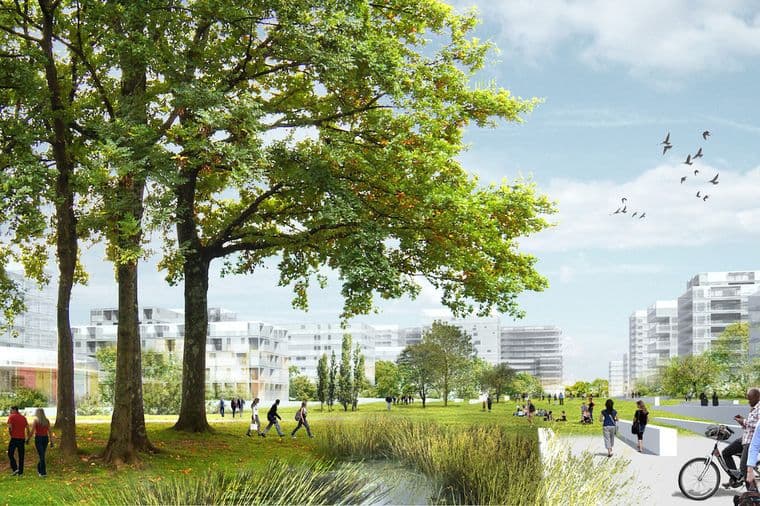 People enjoying a park with large trees, a pond, and modern buildings in the background under a blue sky with birds flying.