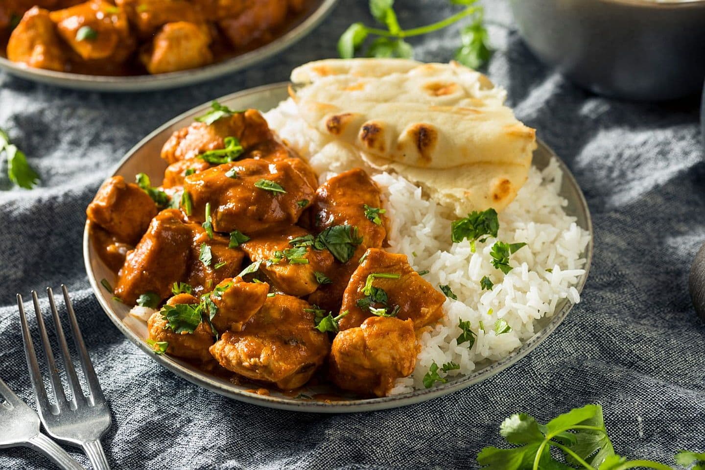 Plato de curri con arroz