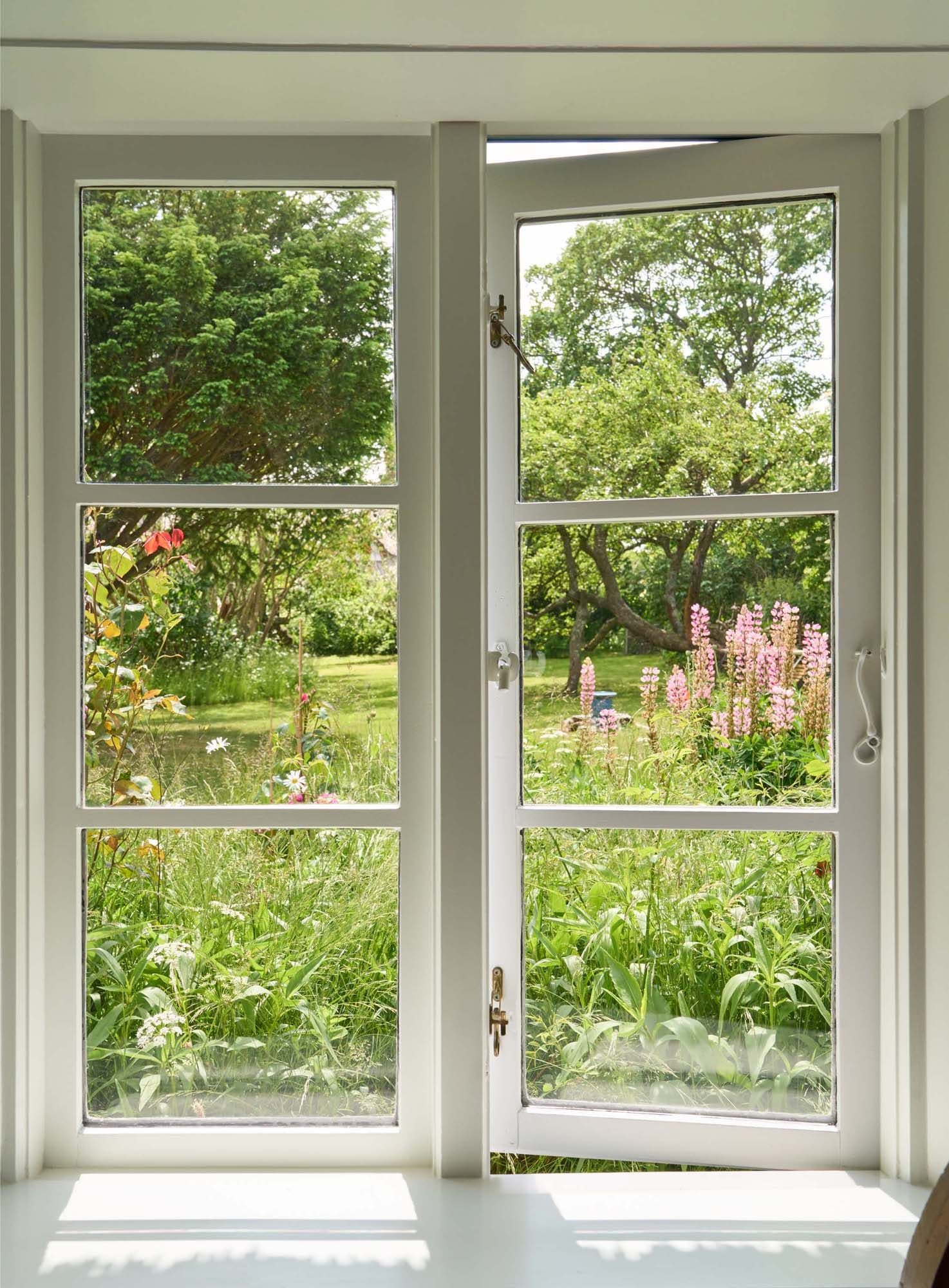 Open window view of a lush garden with blooming flowers and green trees under a clear sky.