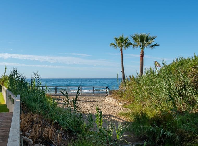 Meerblick von einer Strandimmobilie in El Rosario, mit grünen Pflanzen neben der Aussicht.