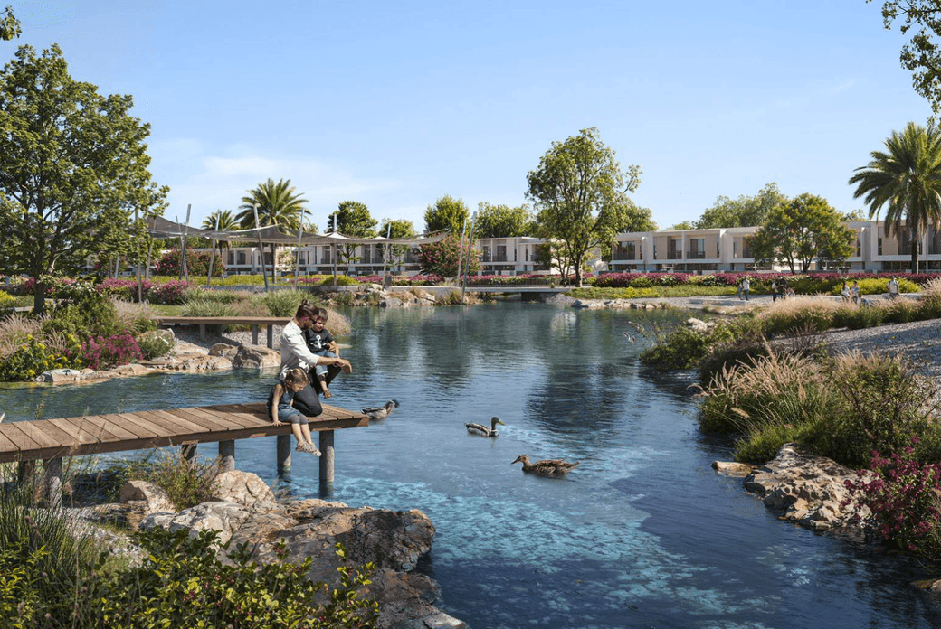 People sitting on a wooden dock by a pond with ducks, surrounded by greenery and modern houses in the background.