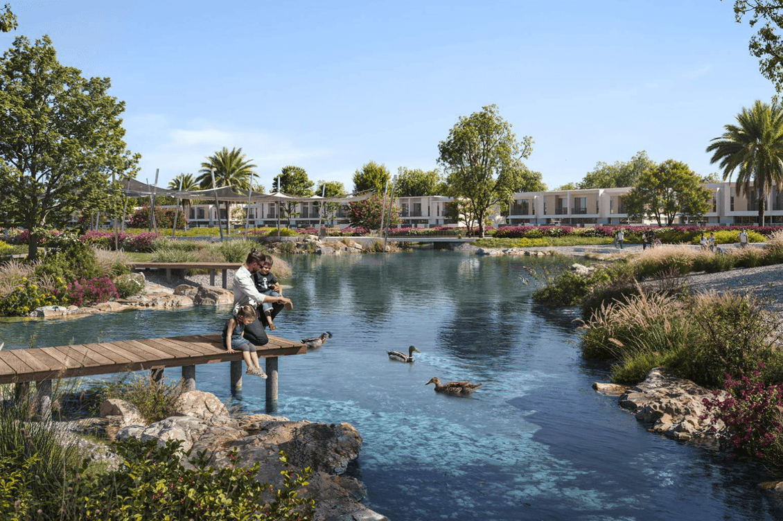People sitting on a wooden dock by a pond with ducks, surrounded by greenery and modern houses in the background.