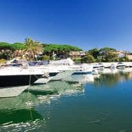 Cabopino harbour with many luxurious boats and palm trees in the background