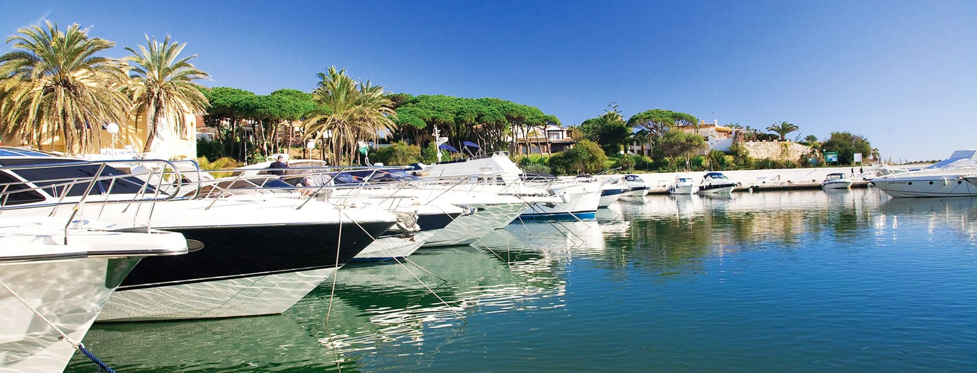 Port de Cabopino amb nombrosos vaixells de luxe i palmeres al fons