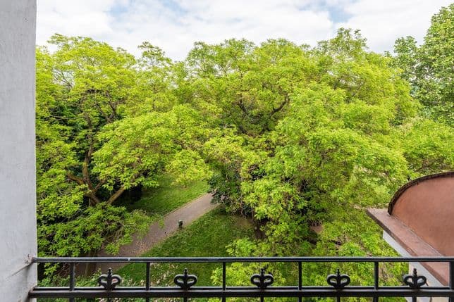 Pohled z balkonu na vzrostlé stromy a parkovou cestu v Kaizlových sadech, lemovanou zeleným trávníkem a keři.