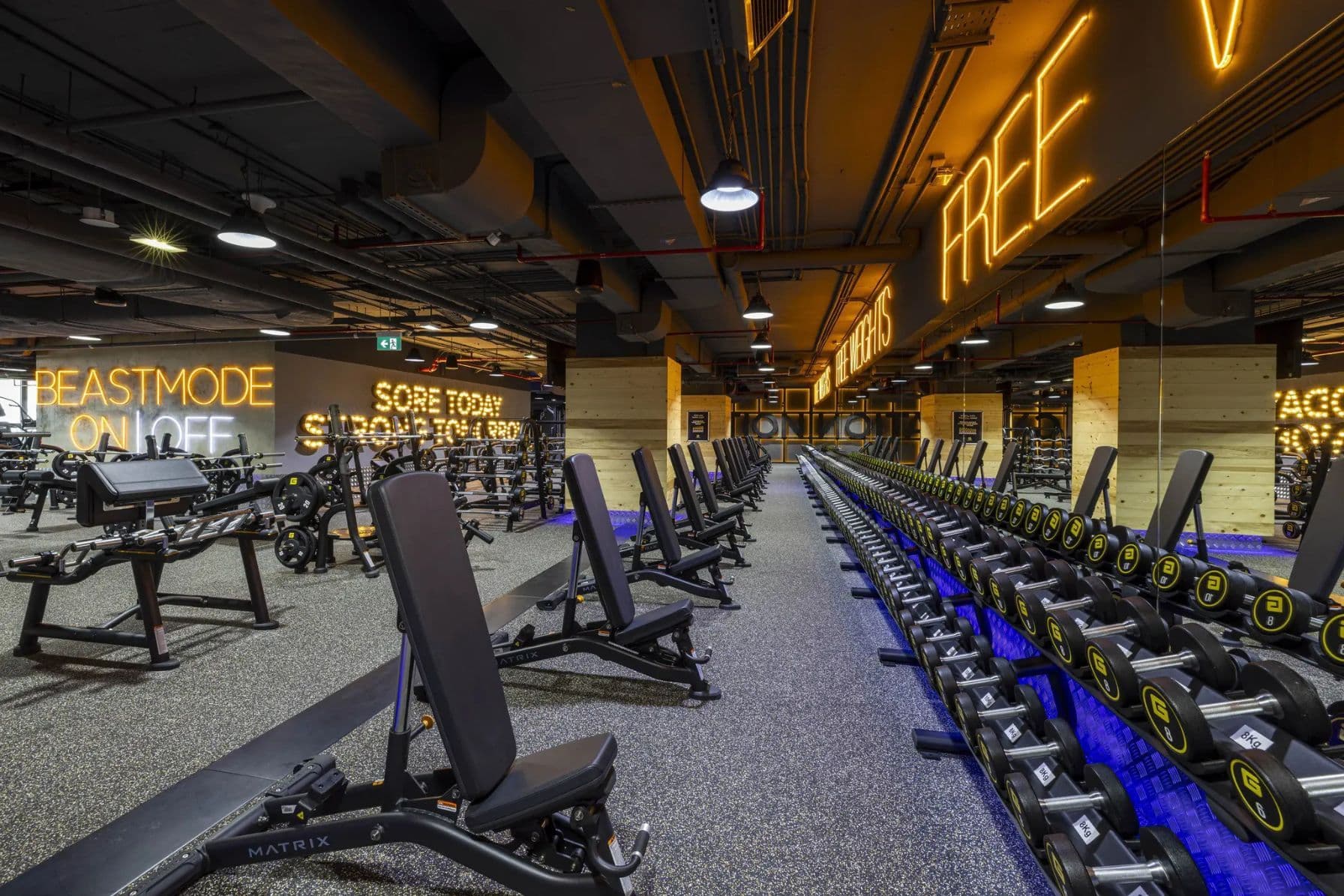 Free weights area of Gymnation gym with row of benches and huge rack of Gymnation branded dumbbells
