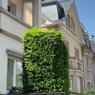 Row of modern townhouses with large windows, a manicured hedge, and a clear blue sky in the background.