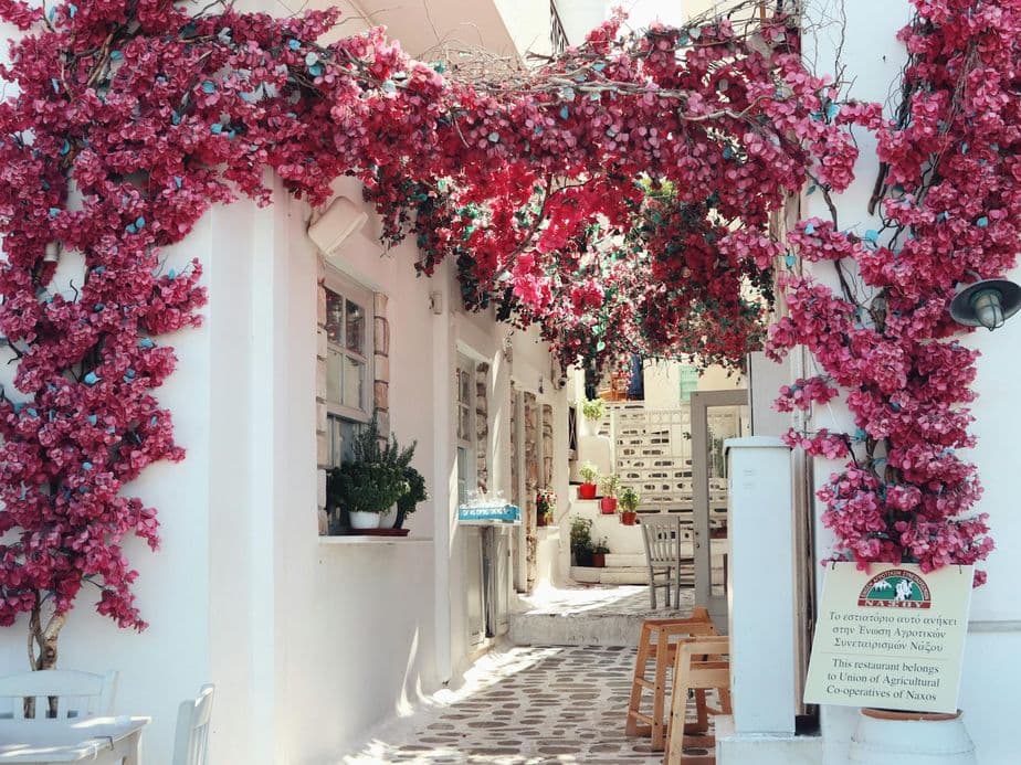 Naxos small streets with pink flowers on the buildings