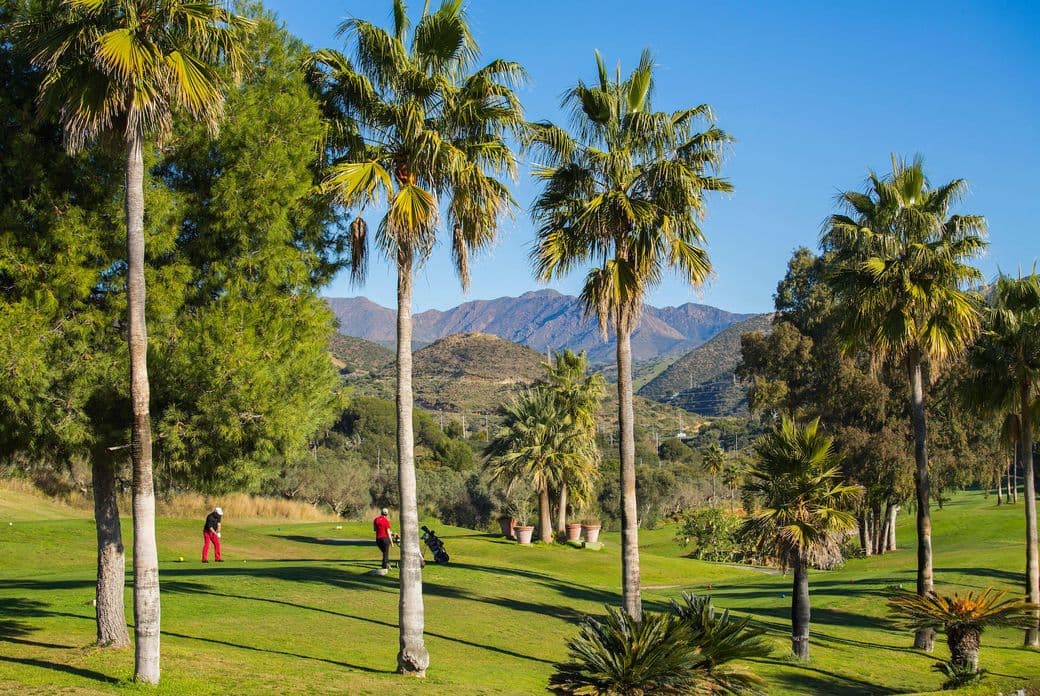 Campo de golf de Santa Clara con jardines verdes, palmeras y la montaña al fondo.