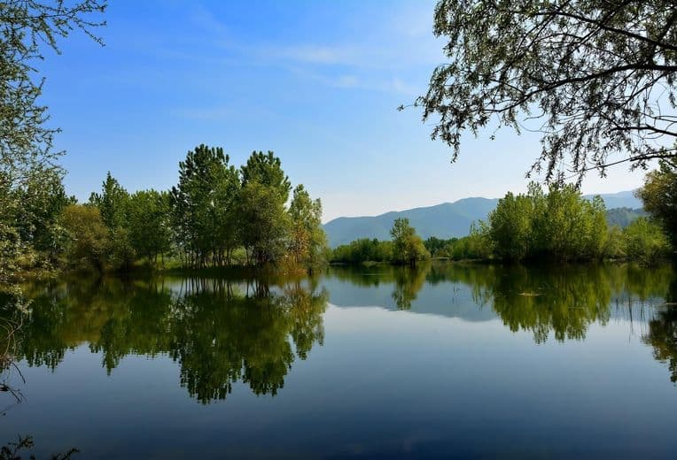 A lake or pond surrounded by dense trees, with a still surface reflecting greenery and distant hills under a clear sky.