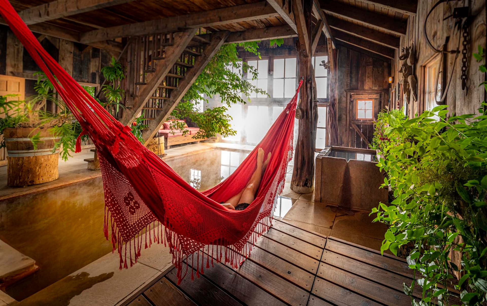 A cozy room with wooden beams features a red hammock, green plants, and large windows letting in natural light.