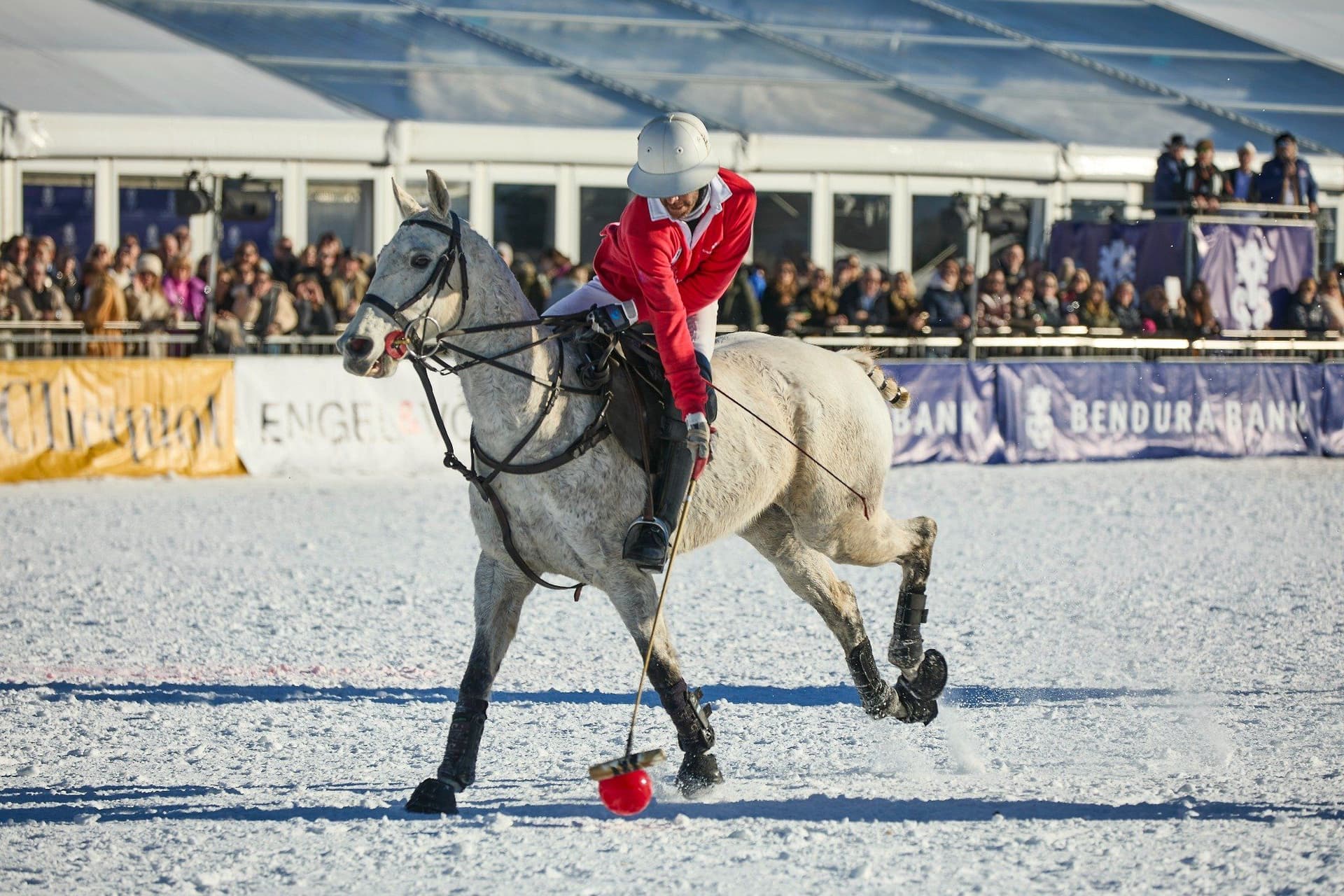 Polo-Spieler in roten und lila Trikots in Aktion mit aufgewirbeltem Schnee.
