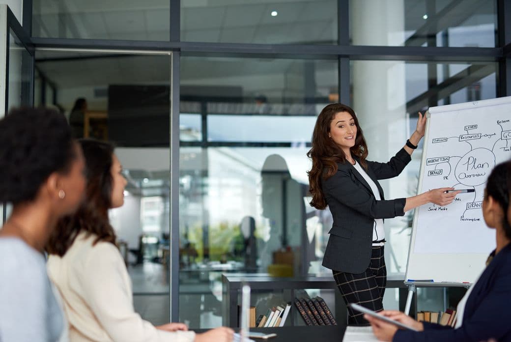 A woman in a blazer presents a "Plan Overview" on a whiteboard to a diverse group in a modern office.