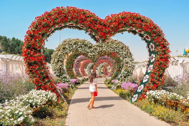 Miracle Garden