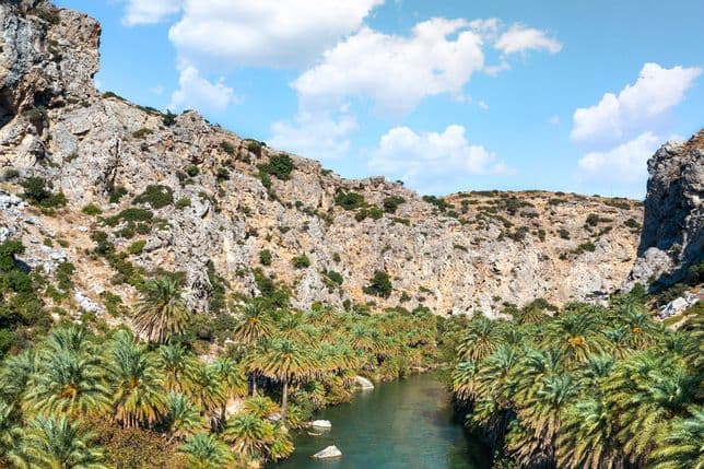 Ποτάμι κυλά ανάμεσα σε βραχώδεις βράχους και φοίνικες κάτω από έναν γαλάζιο ουρανό με λευκά σύννεφα.