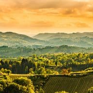 Panoramaaufnahme einer hügeligen Weinbaulandschaft in der Südsteiermark bei Sonnenuntergang. Die Weingärten ziehen sich in charakteristischen Reihen die sanften Hänge hinauf. Im goldenen Abendlicht leuchten die bewaldeten Hügel und vereinzelten Gehöfte zwischen den Weinbergen. Der dramatische Himmel ist in warme Orange- und Goldtöne getaucht, während sich am Horizont mehrere Bergketten staffeln. Vereinzelte Zypressen und traditionelle Weingüter sind über die malerische Landschaft verteilt. Die Aufnahme vermittelt die typische Atmosphäre der steirischen Weinregion mit ihrer einzigartigen Kombination aus kultivierter Landschaft und natürlicher Schönheit.