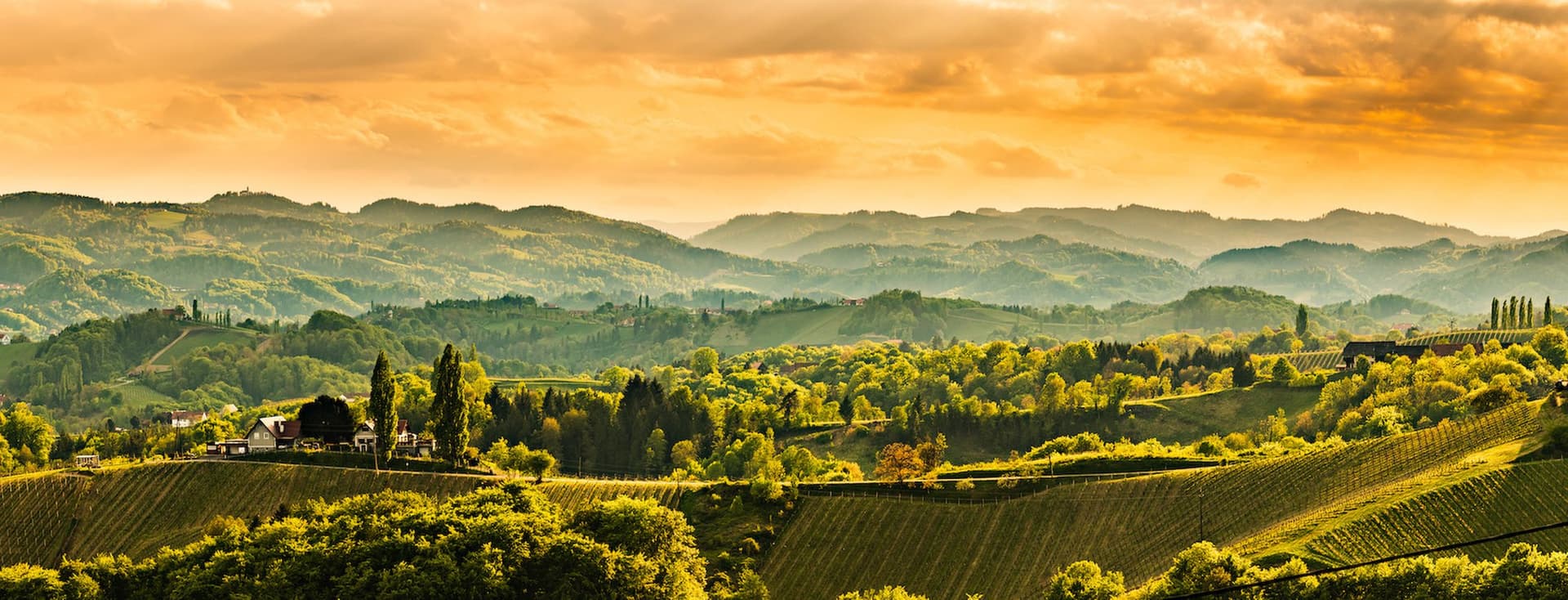 A panoramic view of a hilly vineyard landscape in Southern Styria at sunset. The vineyards stretch in characteristic rows up the gentle slopes. In the golden evening light, the wooded hills and scattered farmsteads between the vineyards glow. The dramatic sky is bathed in warm orange and gold tones, while multiple mountain ranges are layered on the horizon. Scattered cypresses and traditional wineries are distributed across the picturesque landscape. The image conveys the typical atmosphere of the Styrian wine region with its unique combination of cultivated landscape and natural beauty.