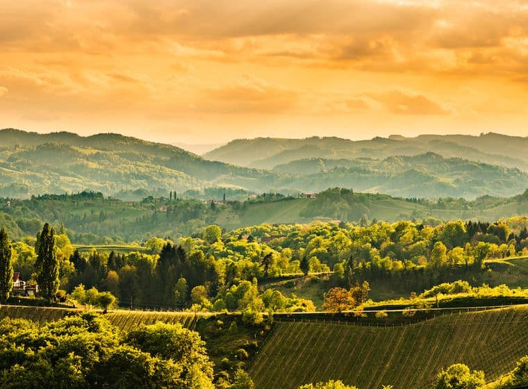 A panoramic view of a hilly vineyard landscape in Southern Styria at sunset. The vineyards stretch in characteristic rows up the gentle slopes. In the golden evening light, the wooded hills and scattered farmsteads between the vineyards glow. The dramatic sky is bathed in warm orange and gold tones, while multiple mountain ranges are layered on the horizon. Scattered cypresses and traditional wineries are distributed across the picturesque landscape. The image conveys the typical atmosphere of the Styrian wine region with its unique combination of cultivated landscape and natural beauty.