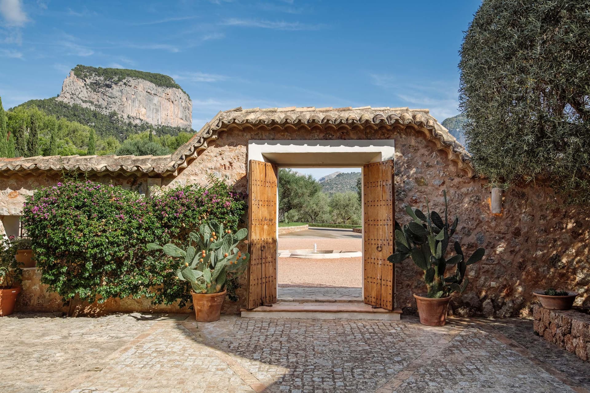 Stone courtyard with an open wooden gate leading to a garden, surrounded by potted cacti and lush greenery, with a mountain in the background.