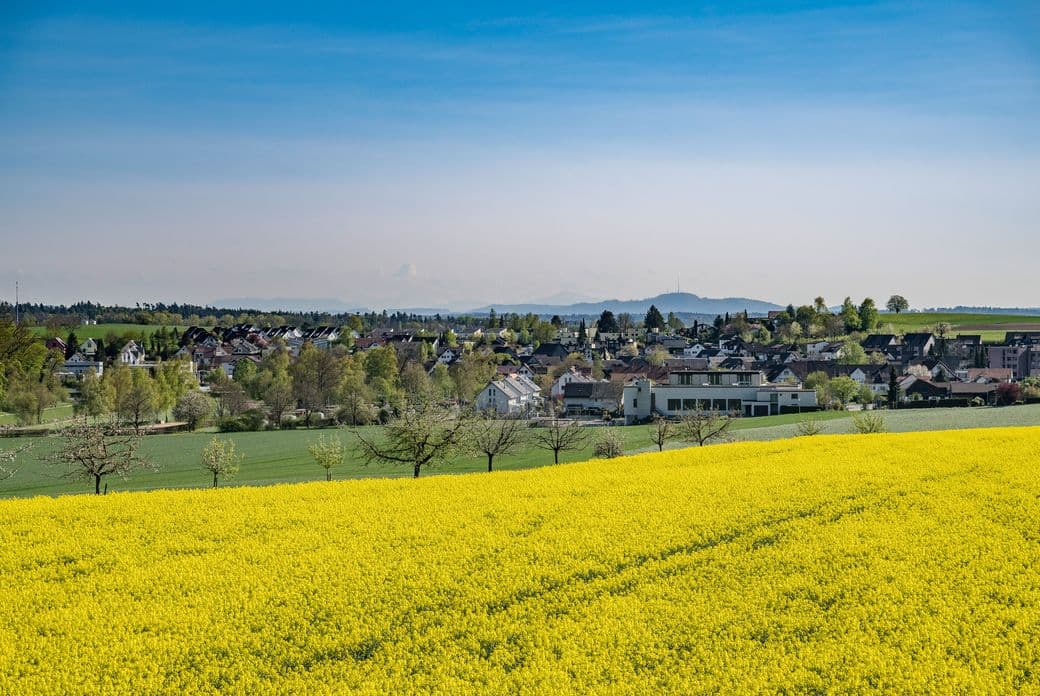 Mit unseren Immobilienmaklern finden Sie das Haus, die Wohnung oder Villa im Zürcher Unterland, die zu Ihren Ansprüchen passt.