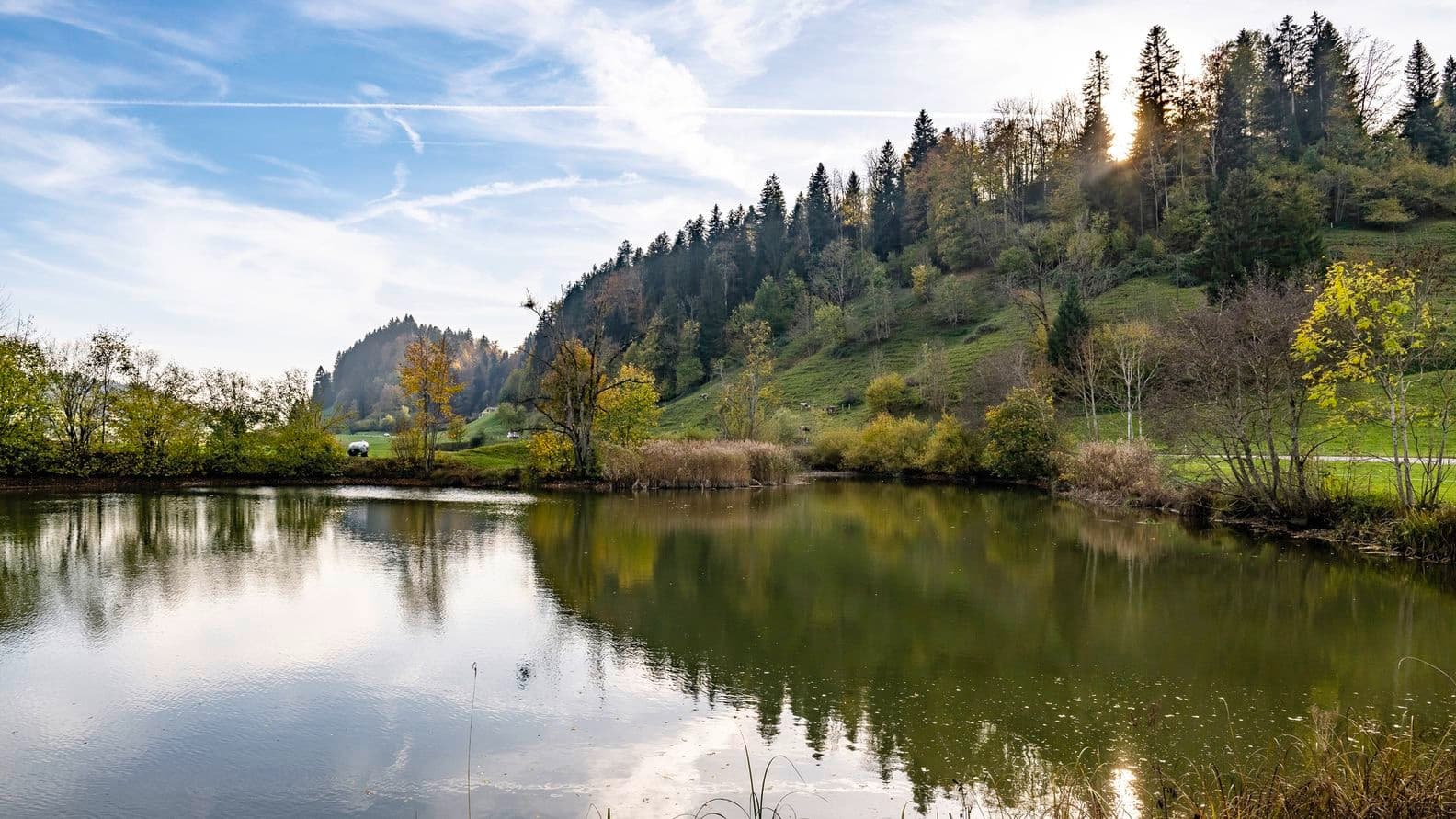 Panoramen wie dieses eröffnen sich Ihnen als Immobilieneigentümer im Zürcher Oberland immer wieder - ein wahres Fest für die Sinne
