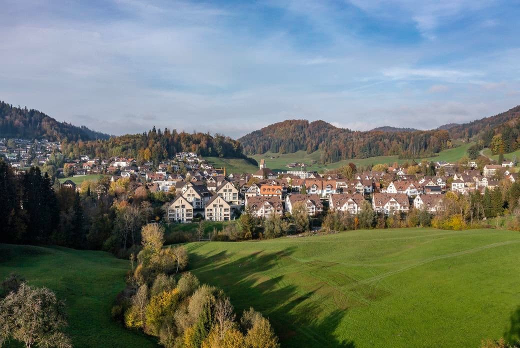 Scenic view over the Zurich Oberland with meadows and forests – living between nature and the city