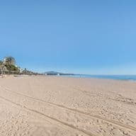 Platja d'Estepona amb palmeres i edificis. Sorra fina i el mar.